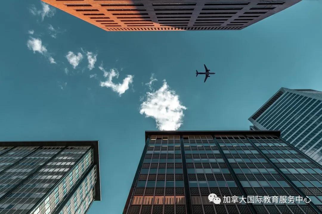 张学勇移民公司:2020年曼省省提名大数据报告